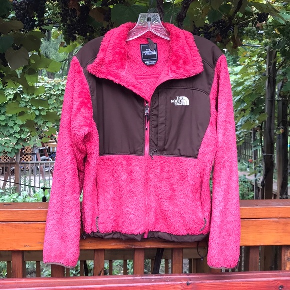 The North Face Jackets & Blazers - 🦄NORTH FACE FLEECE🦄